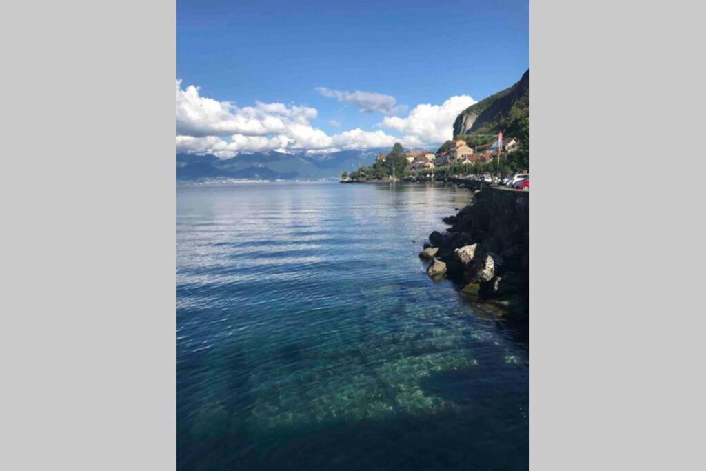 Duplex En Station Vue Sur Lac Leman Thollon-les-Memises ภายนอก รูปภาพ