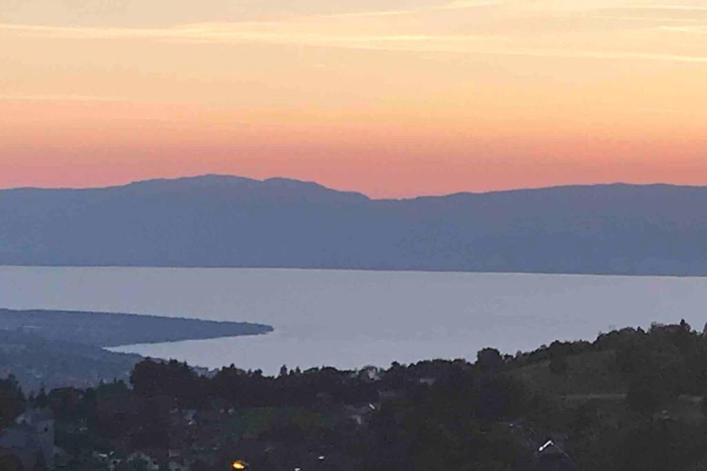 Duplex En Station Vue Sur Lac Leman Thollon-les-Memises ภายนอก รูปภาพ