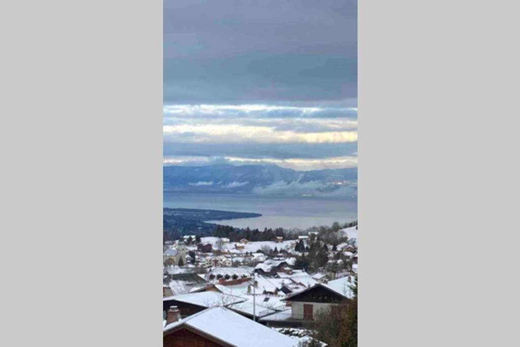 Duplex En Station Vue Sur Lac Leman Thollon-les-Memises ภายนอก รูปภาพ