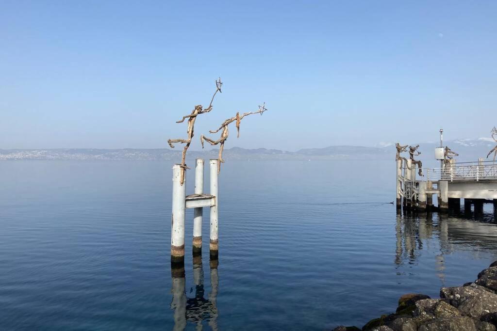Duplex En Station Vue Sur Lac Leman Thollon-les-Memises ภายนอก รูปภาพ