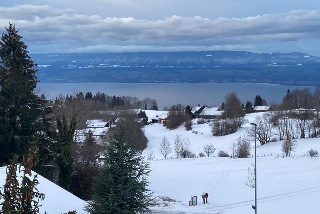 Duplex En Station Vue Sur Lac Leman Thollon-les-Memises ภายนอก รูปภาพ